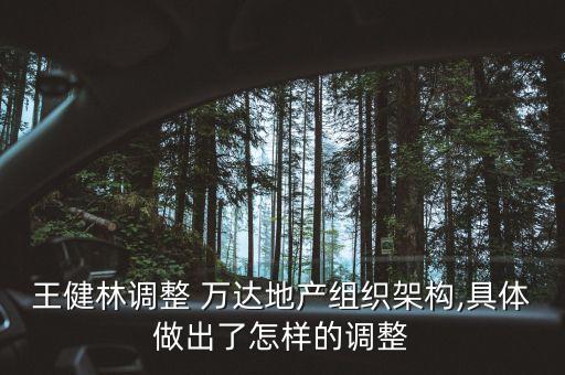 王健林調整 萬達地產組織架構,具體做出了怎樣的調整