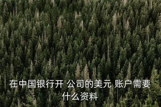 一般有限責(zé)任公司可以開(kāi)美金賬戶(hù)嗎