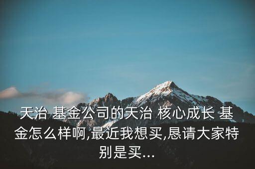 天治 基金公司的天治 核心成長 基金怎么樣啊,最近我想買,懇請大家特別是買...