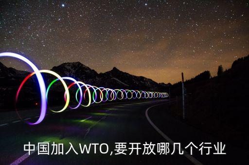 加入世貿之前中國零售業(yè)數(shù)據(jù)