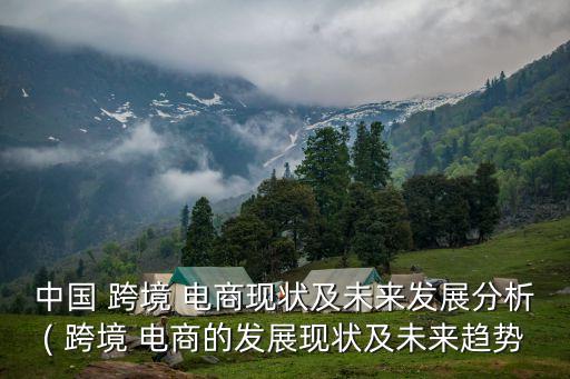 中國 跨境 電商現(xiàn)狀及未來發(fā)展分析( 跨境 電商的發(fā)展現(xiàn)狀及未來趨勢(shì)