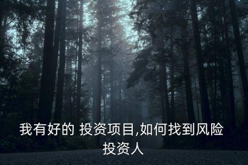 我有好的 投資項(xiàng)目,如何找到風(fēng)險 投資人