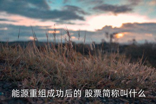  能源重組成功后的 股票簡(jiǎn)稱(chēng)叫什么