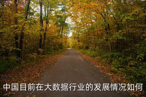 中國目前在大數(shù)據行業(yè)的發(fā)展情況如何