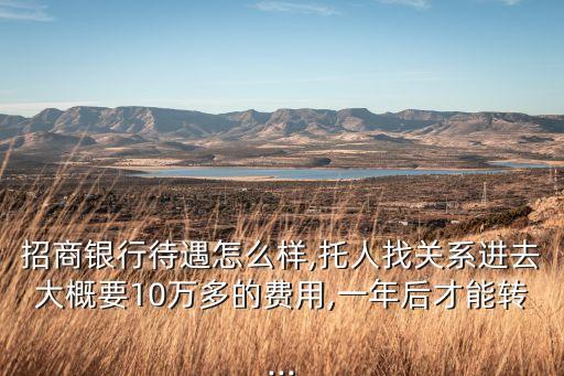 招商銀行待遇怎么樣,托人找關系進去大概要10萬多的費用,一年后才能轉...