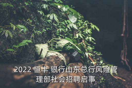 2022 恒豐 銀行山東總行風險管理部社會招聘啟事