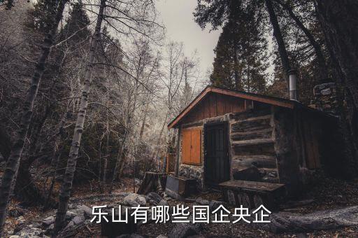 樂山電力公司地址,國(guó)網(wǎng)四川省樂山電力公司