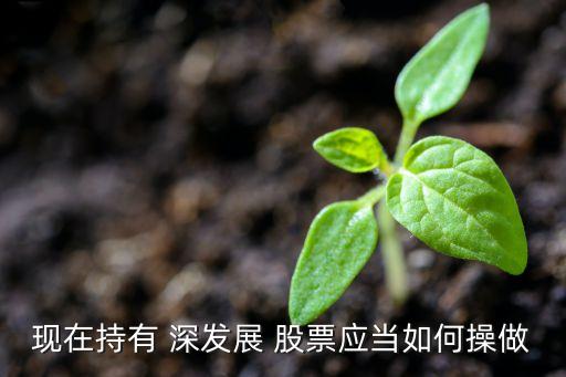 現(xiàn)在持有 深發(fā)展 股票應當如何操做