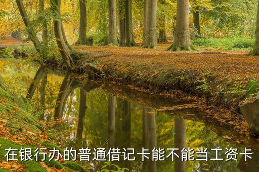 在銀行辦的普通借記卡能不能當工資卡