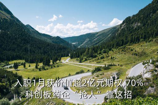 中國股權(quán)激勵報(bào)告,中國交建 股權(quán)激勵