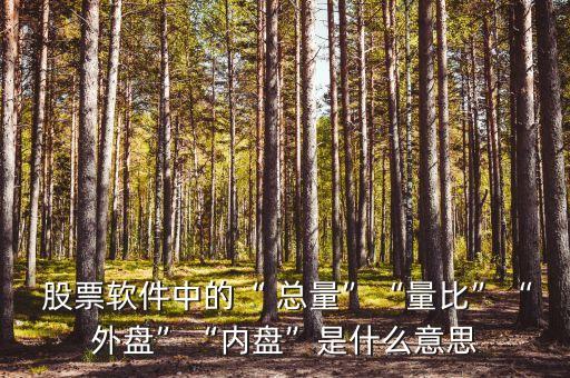  股票軟件中的“ 總量”“量比”“外盤(pán)”“內(nèi)盤(pán)”是什么意思