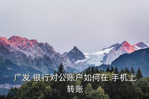  廣發(fā) 銀行對公賬戶如何在 手機(jī)上 轉(zhuǎn)賬