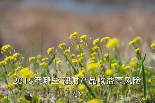 2016年哪些 理財(cái)產(chǎn)品收益高風(fēng)險小