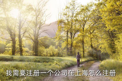 我需要注冊一個公司在上海怎么注冊