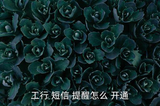 工行 短信 提醒怎么 開(kāi)通