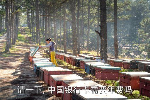 請(qǐng)一下, 中國(guó)銀行卡需要年費(fèi)嗎