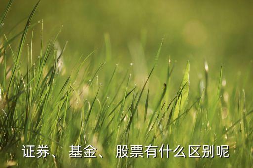 證券、 基金、 股票有什么區(qū)別呢