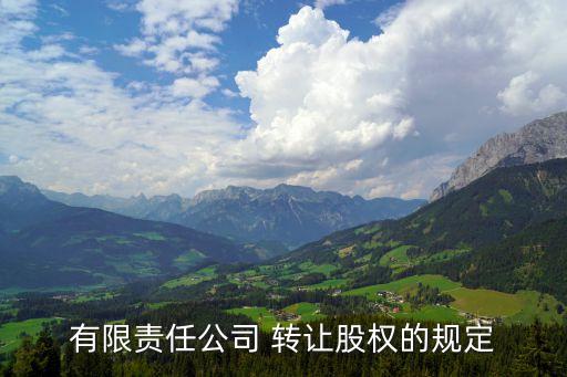 百貨公司為什么不能轉讓其出資