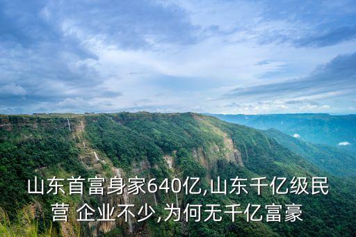 山東首富身家640億,山東千億級(jí)民營(yíng) 企業(yè)不少,為何無(wú)千億富豪