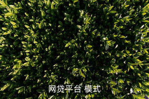 網貸平臺 模式
