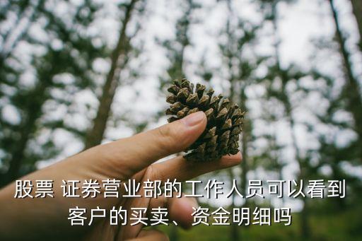 股票 證券營(yíng)業(yè)部的工作人員可以看到客戶的買賣、資金明細(xì)嗎