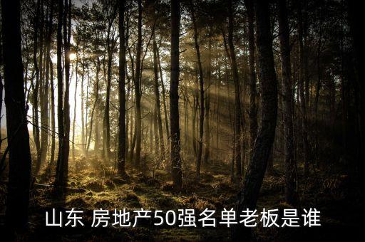 山東 房地產50強名單老板是誰