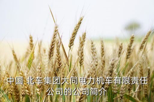 中國 北車集團大同電力機車有限責任公司的公司簡介