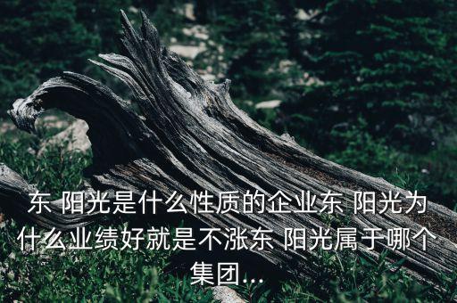 東 陽光是什么性質(zhì)的企業(yè)東 陽光為什么業(yè)績好就是不漲東 陽光屬于哪個集團(tuán)...
