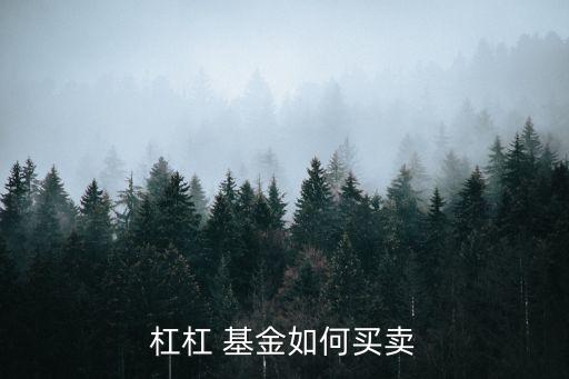 杠杠 基金如何買(mǎi)賣