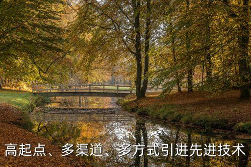高起點(diǎn)、多渠道、多方式引進(jìn)先進(jìn)技術(shù)