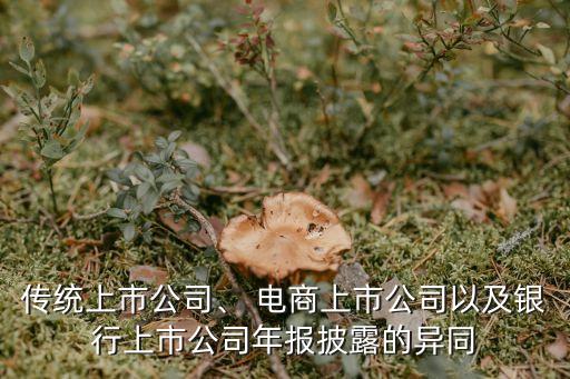 傳統(tǒng)上市公司、 電商上市公司以及銀行上市公司年報(bào)披露的異同