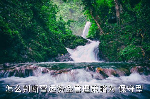 怎么判斷營(yíng)運(yùn)資金管理策略為 保守型
