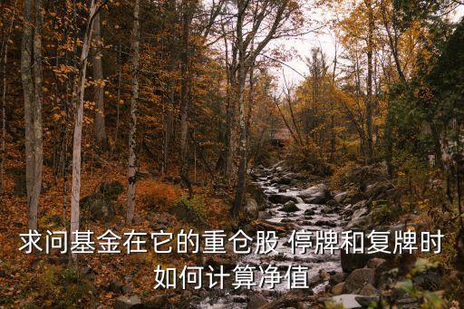 求問基金在它的重倉(cāng)股 停牌和復(fù)牌時(shí)如何計(jì)算凈值