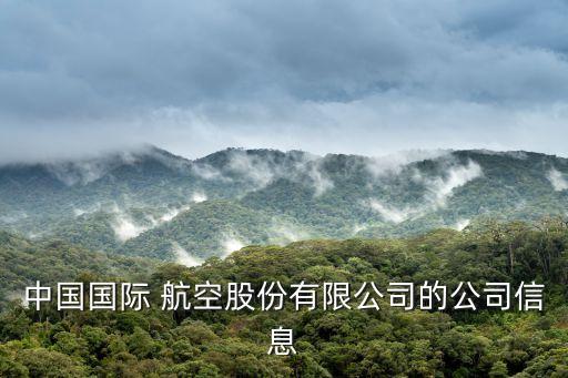 山東航空集團領(lǐng)導(dǎo)班子,中國航空集團領(lǐng)導(dǎo)班子名單