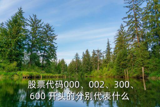  股票代碼000、002、300、600 開頭的分別代表什么
