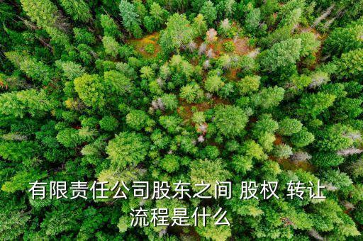 有限責任公司股東之間 股權 轉讓 流程是什么