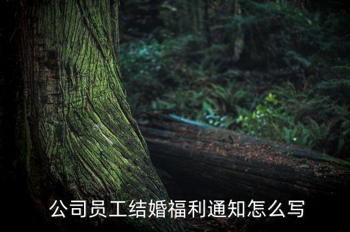  公司員工結婚福利通知怎么寫