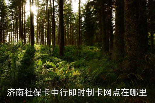 濟(jì)南社?？ㄖ行屑磿r(shí)制卡網(wǎng)點(diǎn)在哪里