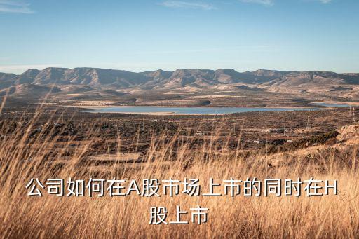  公司如何在A股市場上市的同時在H股上市
