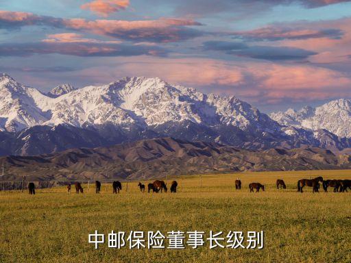 中郵保險(xiǎn)董事長級別