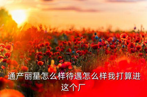  通產麗星怎么樣待遇怎么樣我打算進這個廠
