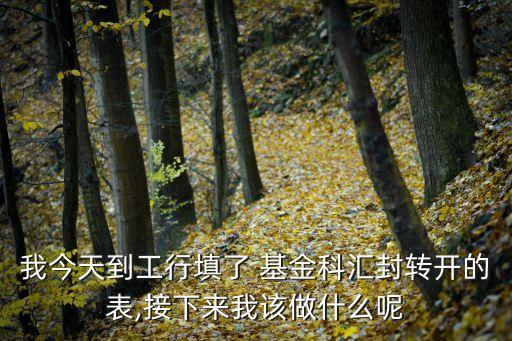 我今天到工行填了 基金科匯封轉(zhuǎn)開(kāi)的表,接下來(lái)我該做什么呢