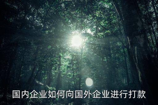 公司給公司打錢,為什么公司打錢打不進(jìn)去