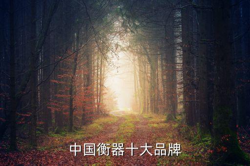 中國(guó)衡器十大品牌