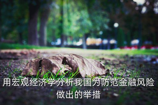 用宏觀經(jīng)濟(jì)學(xué)分析我國為防范金融風(fēng)險做出的舉措