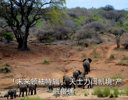 「未來領袖特輯」 天士力閆凱境:產融貫通