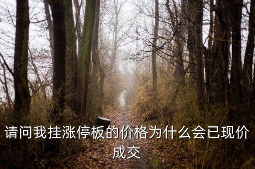 請問我掛漲停板的價(jià)格為什么會(huì)已現(xiàn)價(jià)成交