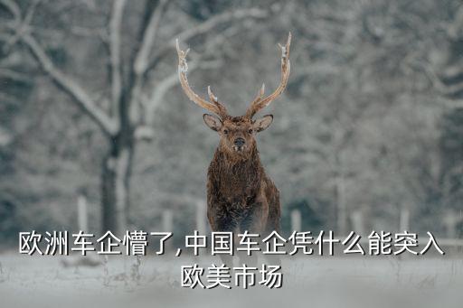 歐洲車(chē)企懵了,中國(guó)車(chē)企憑什么能突入歐美市場(chǎng)