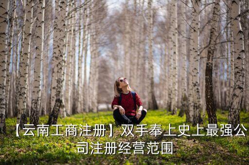 中國數(shù)碼信息有限公司財務報告,三一集團有限公司2022年財務報告