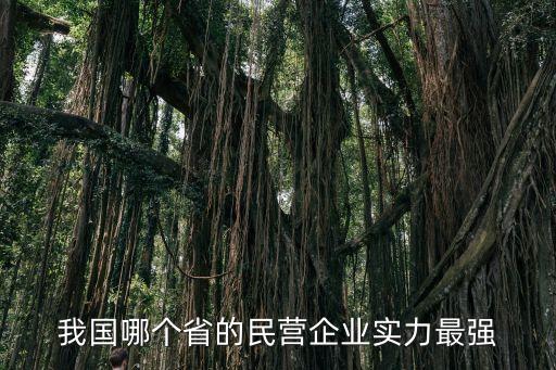 浙江省上市公司數量
